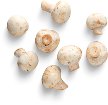 Isolated Cutout PNG